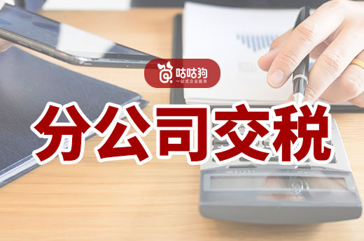 财税干货分享：分公司怎样交税？和子公司有什么区别？-咕咕狗